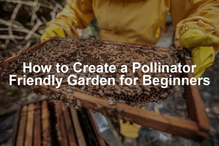 Featured image for How to Create a Pollinator Friendly Garden for Beginners
