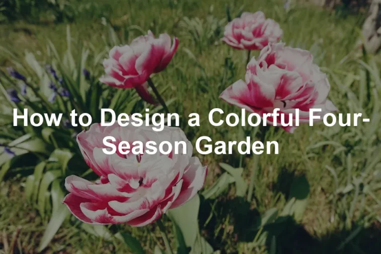 Featured image for How to Design a Colorful Four-Season Garden