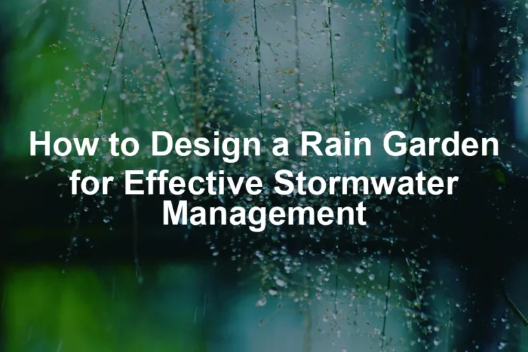 Featured image for How to Design a Rain Garden for Effective Stormwater Management