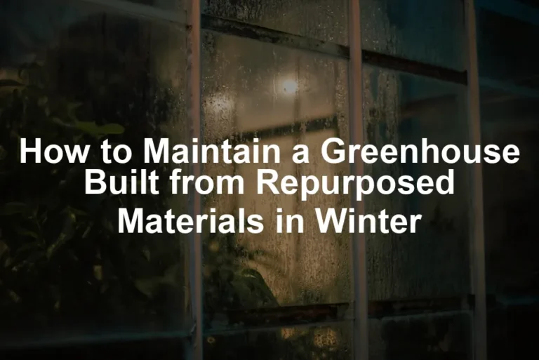 Featured image for How to Maintain a Greenhouse Built from Repurposed Materials in Winter