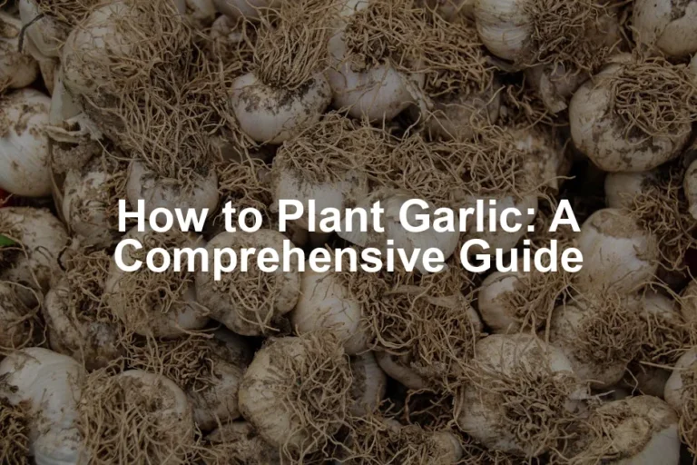 Featured image for How to Plant Garlic: A Comprehensive Guide