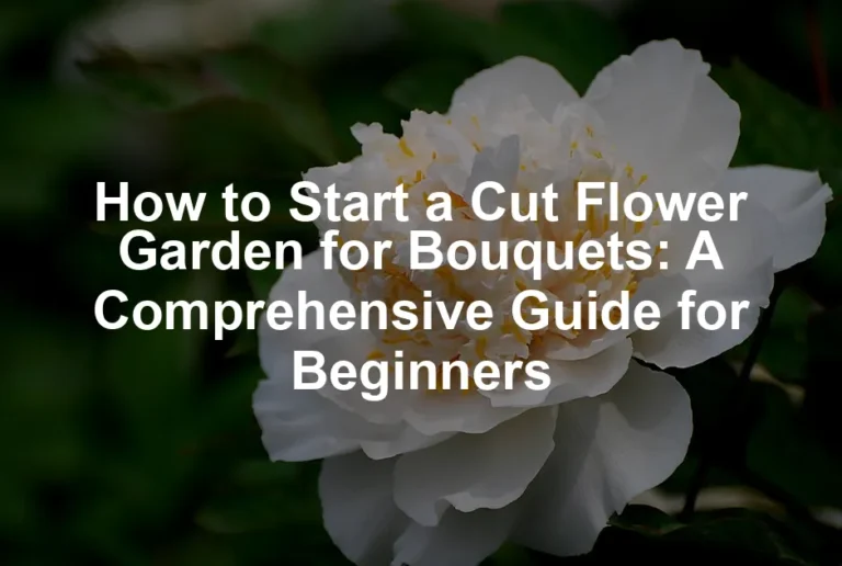 Featured image for How to Start a Cut Flower Garden for Bouquets: A Comprehensive Guide for Beginners