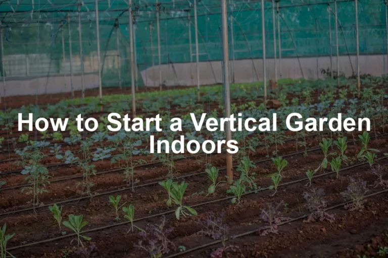Featured image for How to Start a Vertical Garden Indoors