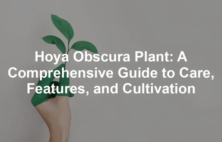 Featured image for Hoya Obscura Plant: A Comprehensive Guide to Care, Features, and Cultivation