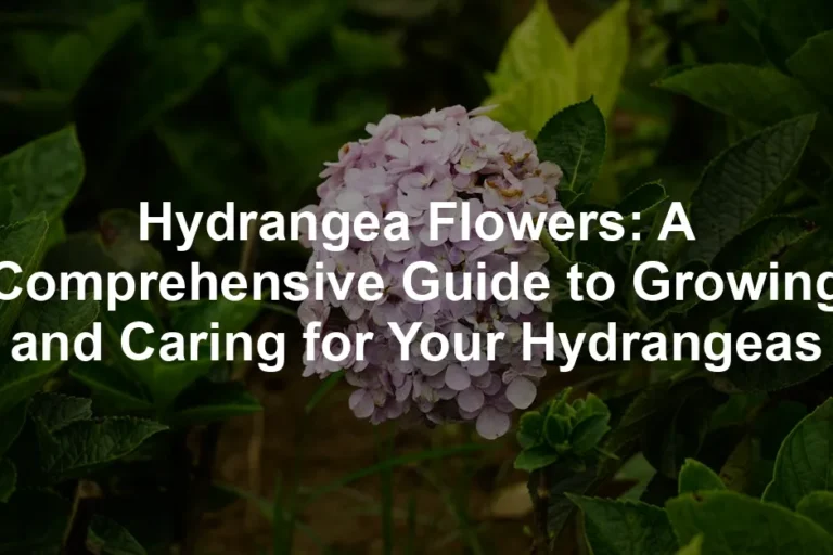 Featured image for Hydrangea Flowers: A Comprehensive Guide to Growing and Caring for Your Hydrangeas