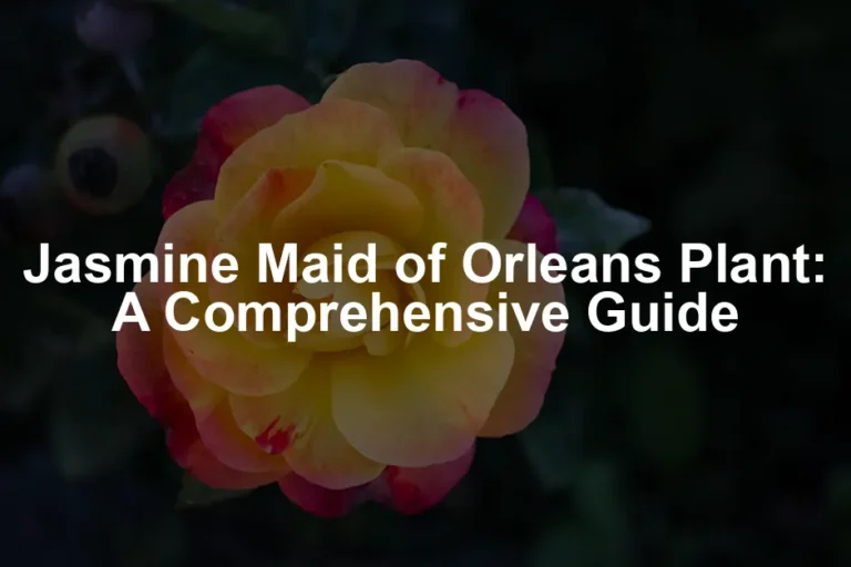Featured image for Jasmine Maid of Orleans Plant: A Comprehensive Guide