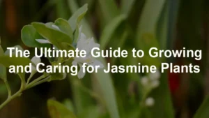 Featured image for The Ultimate Guide to Growing and Caring for Jasmine Plants