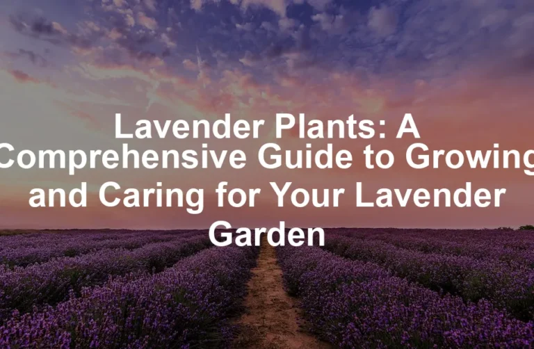 Featured image for Lavender Plants: A Comprehensive Guide to Growing and Caring for Your Lavender Garden
