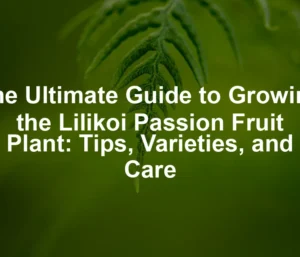 Featured image for The Ultimate Guide to Growing the Lilikoi Passion Fruit Plant: Tips, Varieties, and Care