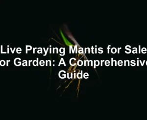 Featured image for Live Praying Mantis for Sale for Garden: A Comprehensive Guide