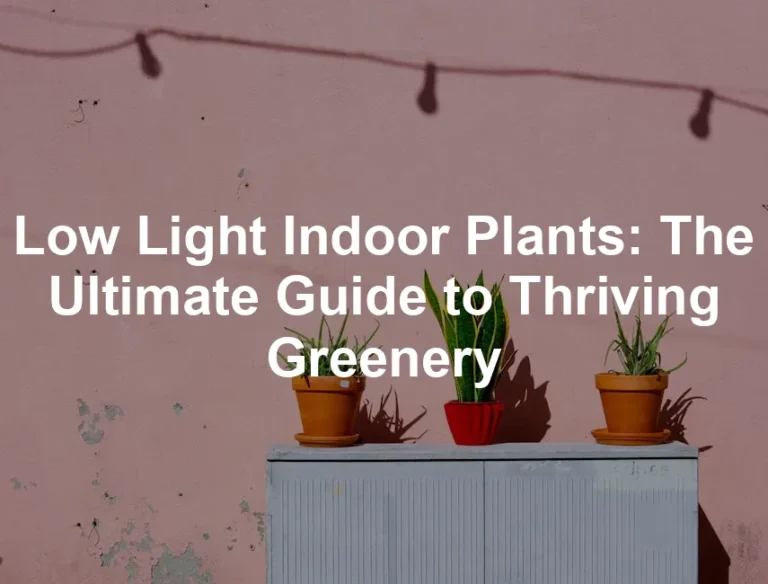 Featured image for Low Light Indoor Plants: The Ultimate Guide to Thriving Greenery