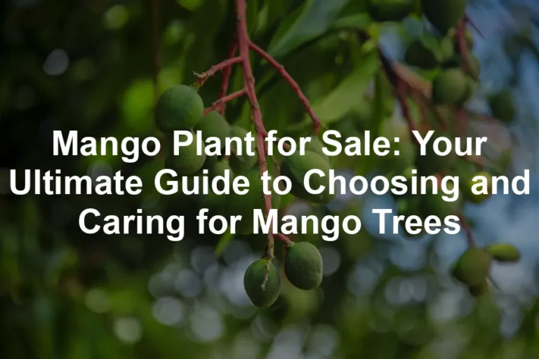 Featured image for Mango Plant for Sale: Your Ultimate Guide to Choosing and Caring for Mango Trees