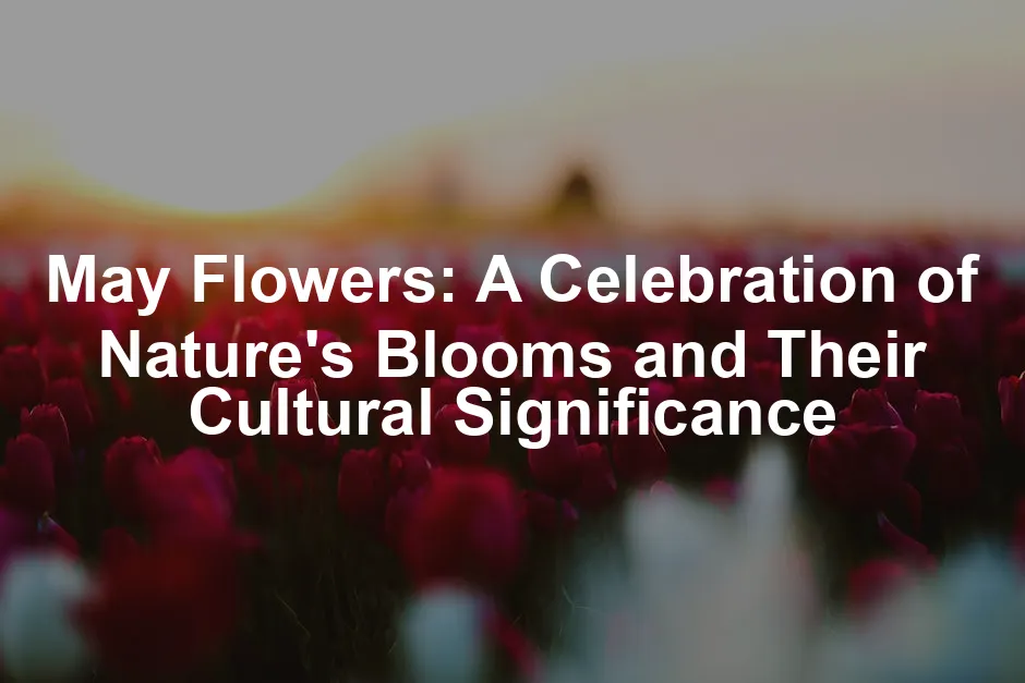 Featured image for May Flowers: A Celebration of Nature's Blooms and Their Cultural Significance