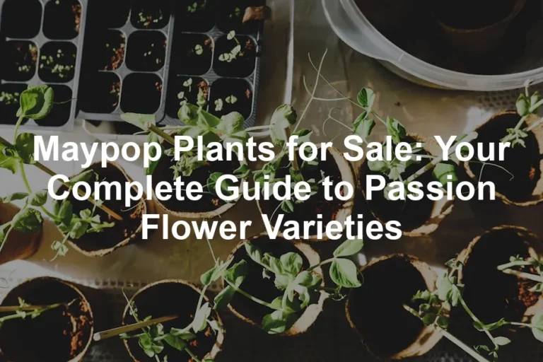 Featured image for Maypop Plants for Sale: Your Complete Guide to Passion Flower Varieties