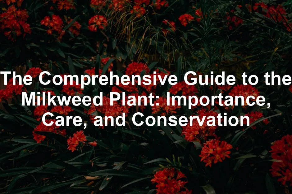 Featured image for The Comprehensive Guide to the Milkweed Plant: Importance, Care, and Conservation