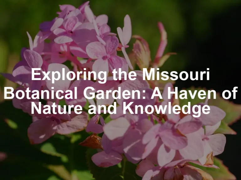 Featured image for Exploring the Missouri Botanical Garden: A Haven of Nature and Knowledge