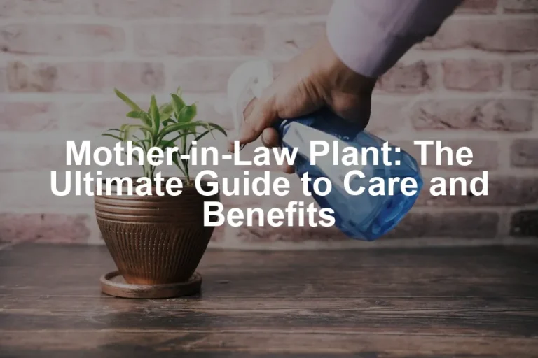 Featured image for Mother-in-Law Plant: The Ultimate Guide to Care and Benefits