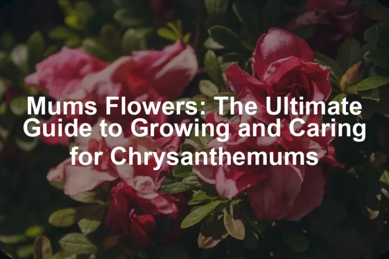 Featured image for Mums Flowers: The Ultimate Guide to Growing and Caring for Chrysanthemums