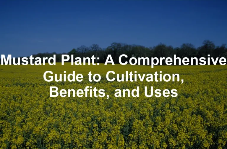 Featured image for Mustard Plant: A Comprehensive Guide to Cultivation, Benefits, and Uses