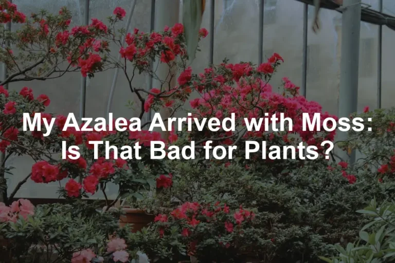 Featured image for My Azalea Arrived with Moss: Is That Bad for Plants?
