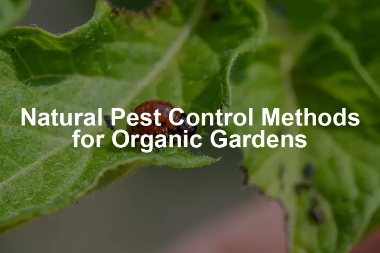 Featured image for Natural Pest Control Methods for Organic Gardens