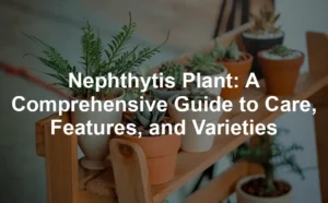 Featured image for Nephthytis Plant: A Comprehensive Guide to Care, Features, and Varieties