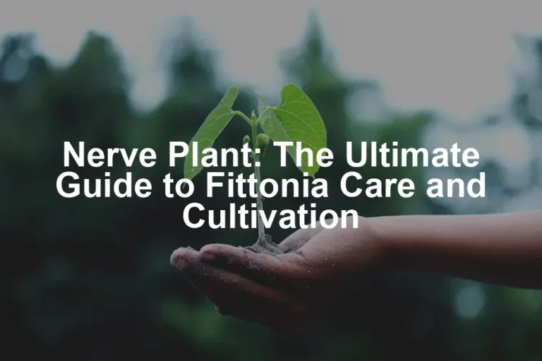 Featured image for Nerve Plant: The Ultimate Guide to Fittonia Care and Cultivation