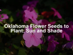 Featured image for Oklahoma Flower Seeds to Plant: Sun and Shade