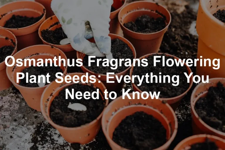 Featured image for Osmanthus Fragrans Flowering Plant Seeds: Everything You Need to Know