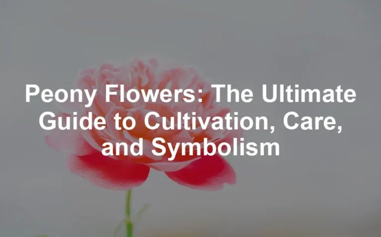 Featured image for Peony Flowers: The Ultimate Guide to Cultivation, Care, and Symbolism
