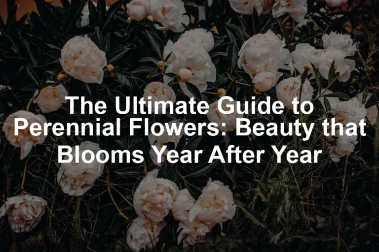 Featured image for The Ultimate Guide to Perennial Flowers: Beauty that Blooms Year After Year