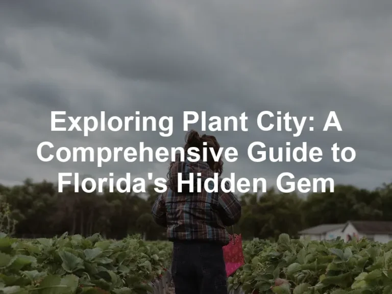 Featured image for Exploring Plant City: A Comprehensive Guide to Florida's Hidden Gem