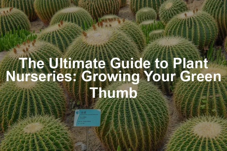 Featured image for The Ultimate Guide to Plant Nurseries: Growing Your Green Thumb