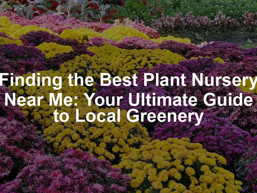 Featured image for Finding the Best Plant Nursery Near Me: Your Ultimate Guide to Local Greenery