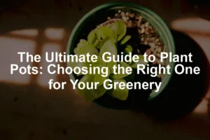 Featured image for The Ultimate Guide to Plant Pots: Choosing the Right One for Your Greenery