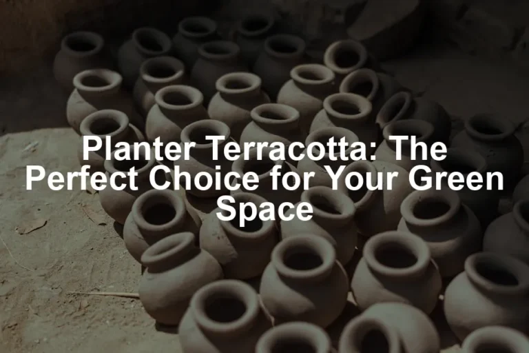 Featured image for Planter Terracotta: The Perfect Choice for Your Green Space