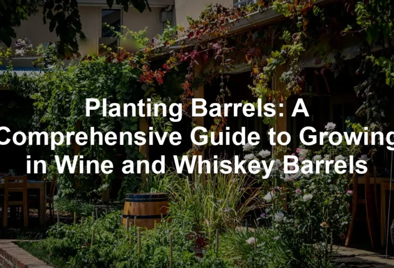 Featured image for Planting Barrels: A Comprehensive Guide to Growing in Wine and Whiskey Barrels