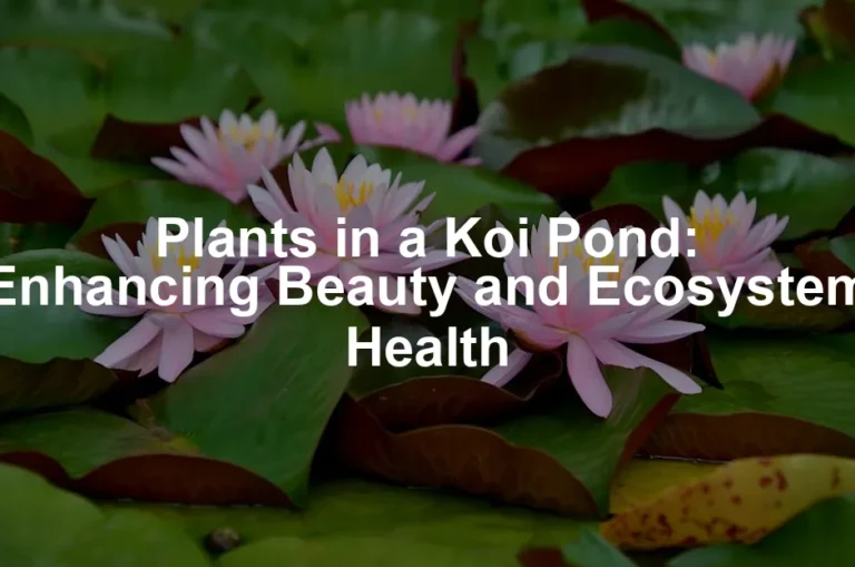 Featured image for Plants in a Koi Pond: Enhancing Beauty and Ecosystem Health