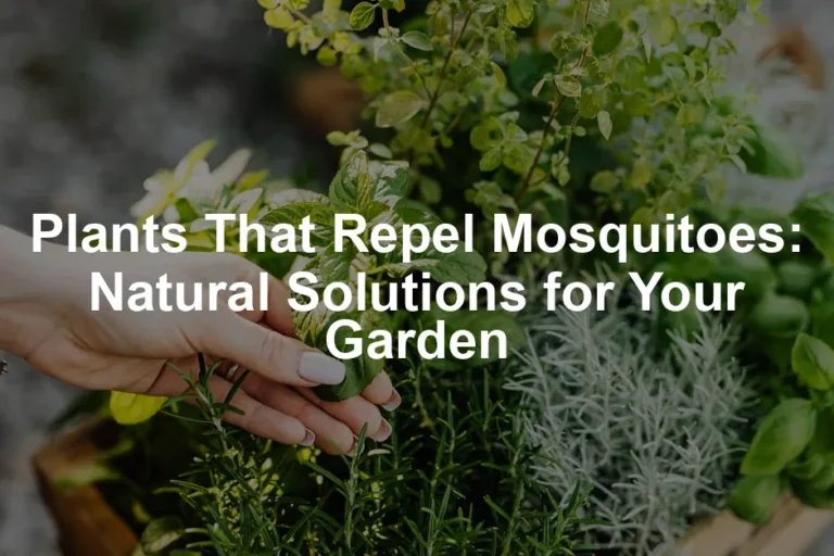 Featured image for Plants That Repel Mosquitoes: Natural Solutions for Your Garden