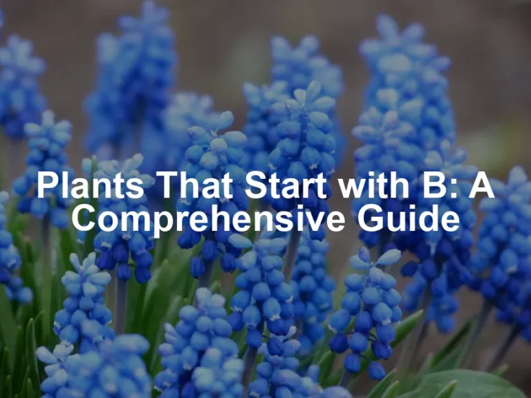 Featured image for Plants That Start with B: A Comprehensive Guide