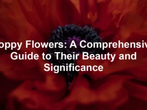 Featured image for Poppy Flowers: A Comprehensive Guide to Their Beauty and Significance