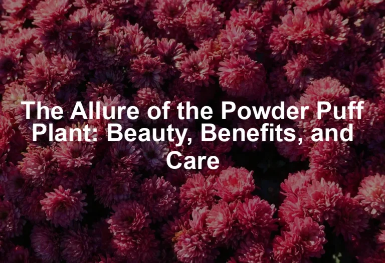 Featured image for The Allure of the Powder Puff Plant: Beauty, Benefits, and Care