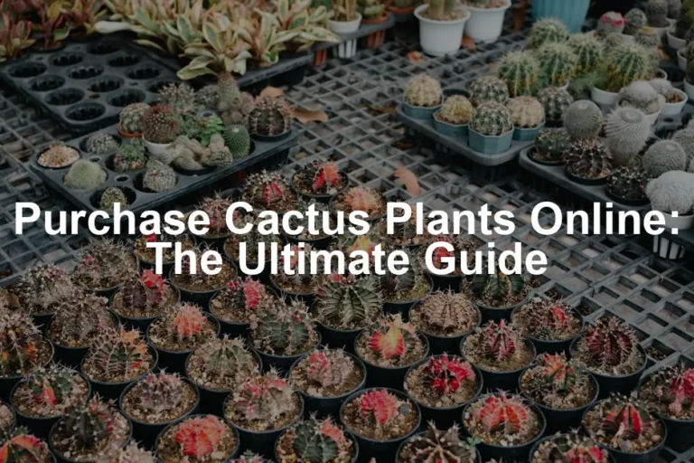 Featured image for Purchase Cactus Plants Online: The Ultimate Guide