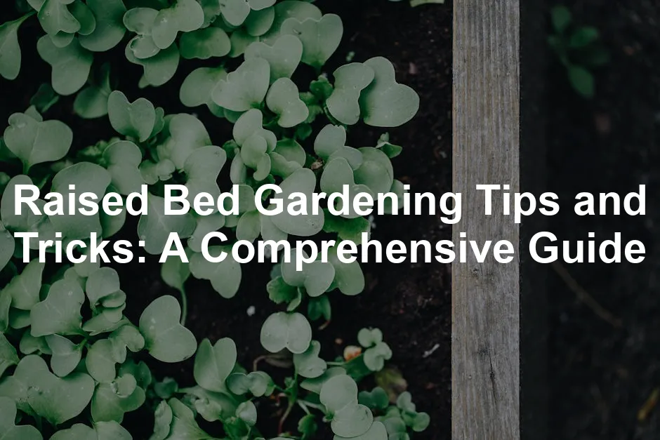Featured image for Raised Bed Gardening Tips and Tricks: A Comprehensive Guide