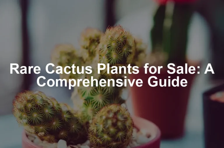 Featured image for Rare Cactus Plants for Sale: A Comprehensive Guide
