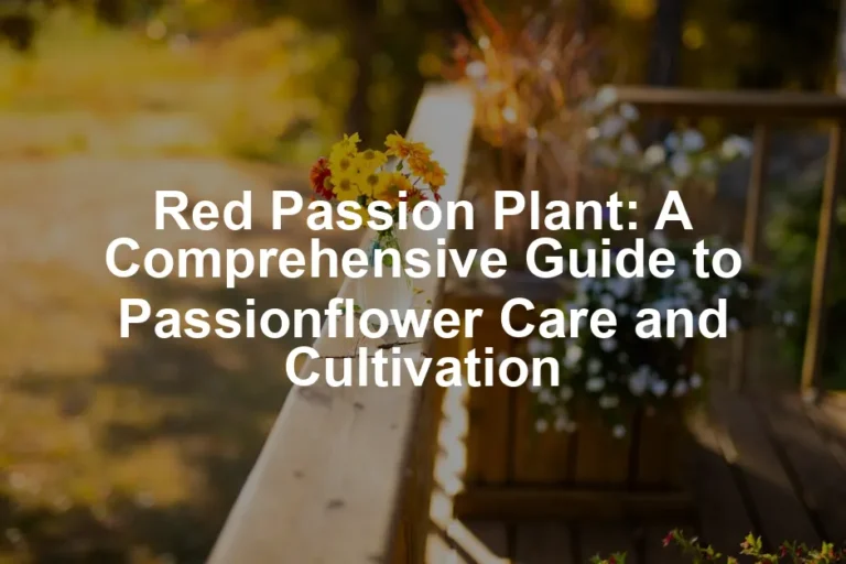 Featured image for Red Passion Plant: A Comprehensive Guide to Passionflower Care and Cultivation