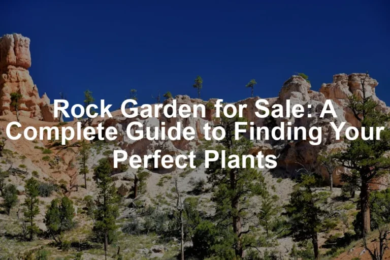 Featured image for Rock Garden for Sale: A Complete Guide to Finding Your Perfect Plants