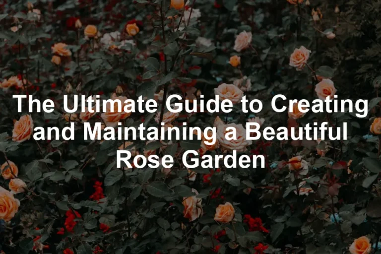 Featured image for The Ultimate Guide to Creating and Maintaining a Beautiful Rose Garden