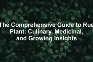 Featured image for The Comprehensive Guide to Rue Plant: Culinary, Medicinal, and Growing Insights