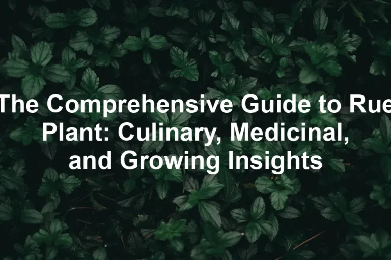 Featured image for The Comprehensive Guide to Rue Plant: Culinary, Medicinal, and Growing Insights
